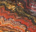 Polished Tiger Iron Stromatolite - ( Billion Years) #38922-1